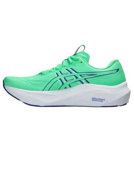 Review ASICS GT-2000 14