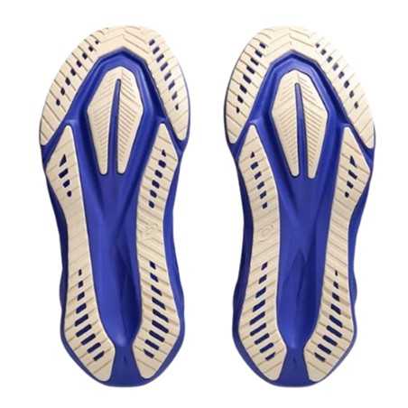 Amortiguación ASICS NOVABLAST 5