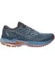 MIZUNO WAVE INSPIRE 19